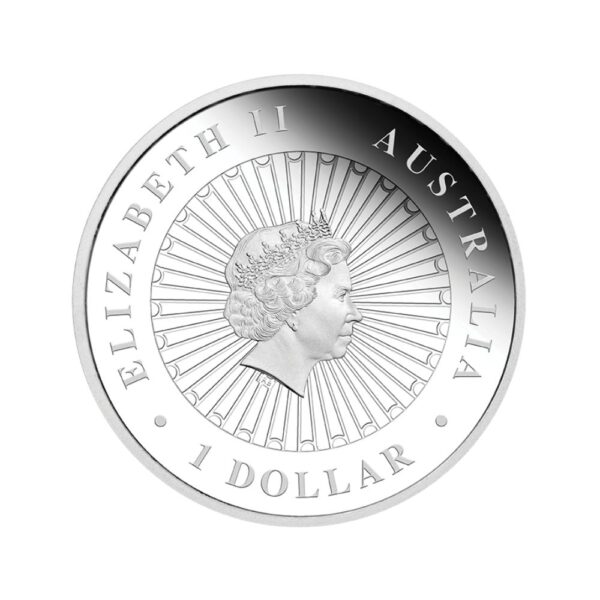 Perth Mint 2016 Australian Opal Lunar Monkey 1 oz silver boxed - Image 3