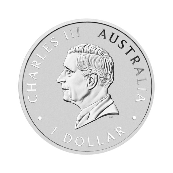 Perth Mint – 2024 $1 Koala And Bejing Panda Proof 1oz Silver - Image 3