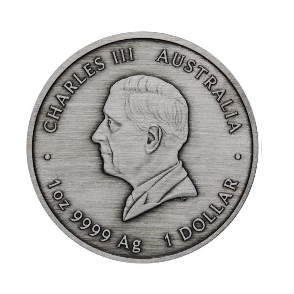 Perth Mint - 2025 Proclomation Antiqued 1oz Silver - Image 5
