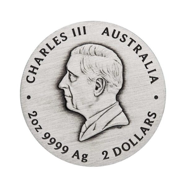 Perth Mint - YOT Snake 2oz Antiqued Coin - Image 4